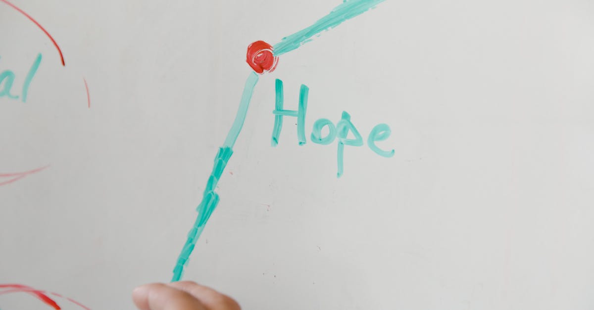 熊猫ip实名账号：任城区代理公司注册