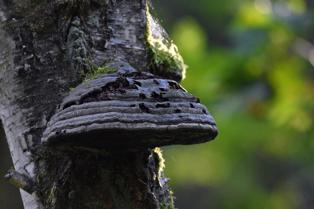 币安实名账号：域名备案购买平台