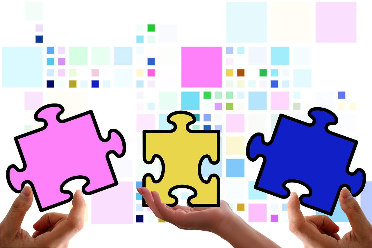 技术支持的性质和应用领域 